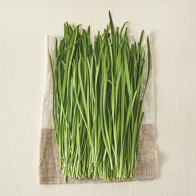 국내산 무농약 부추, 300g, 1개