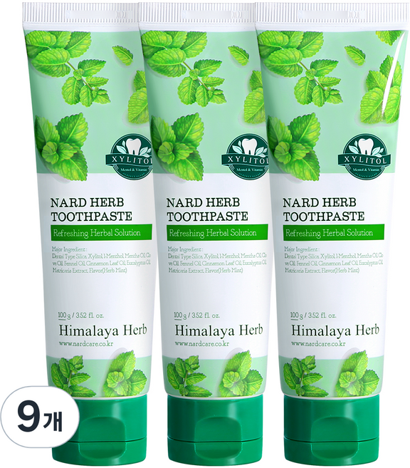 나드 부케가르니 구취케어 치약, 100g, 9개