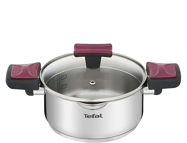 Tefal 特福 香頌不鏽鋼系列 雙耳湯鍋 附鍋蓋, 24cm, 不鏽鋼銀色 + 黑色 + 酒紅色, 1組