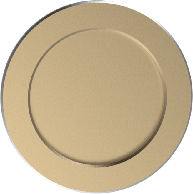 루다 맥세이프 마그네틱 원형 자석판 스마트톡 디스크, 골드, 1개