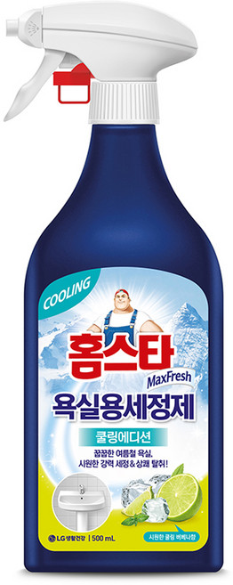 홈스타 맥스프레쉬 욕실용 세정제 쿨링에디션, 500ml, 1개