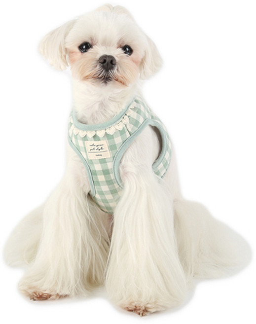 이츠독 강아지 하트 체크 하네스, 민트