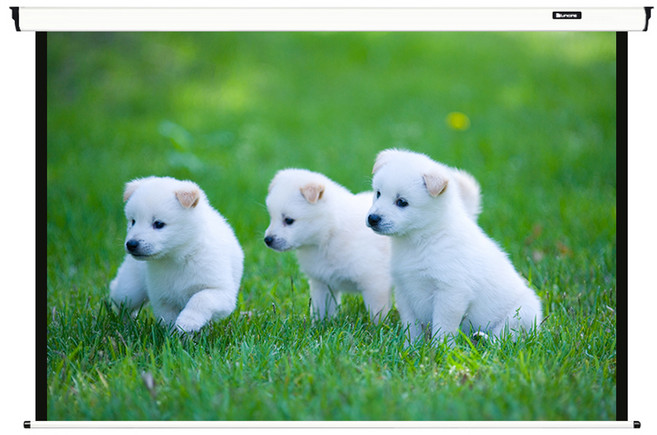 윤씨네 전동 노출 스크린 1720 x 1800 mm, V-EV080