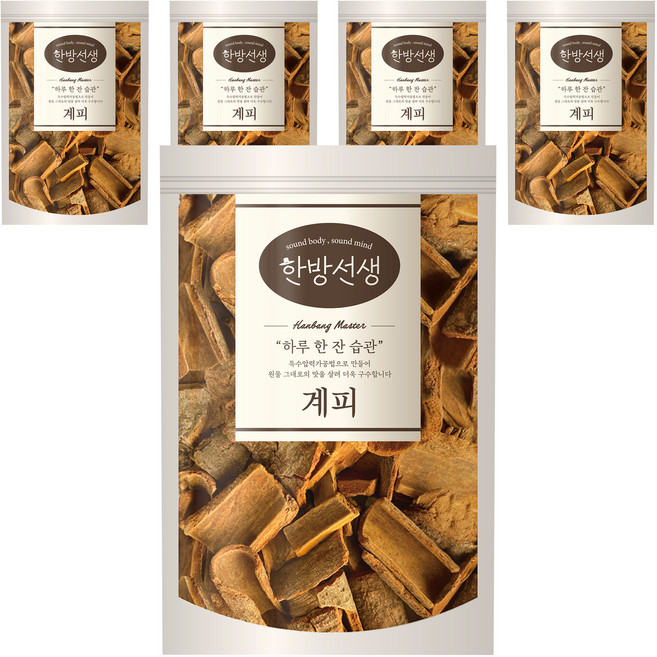 한방선생 사각 계피, 100g, 1개입, 5개