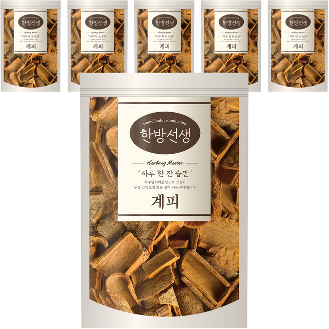 한방선생 사각 계피, 100g, 1개입, 6개