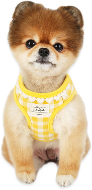 이츠독 강아지 하트 체크 하네스, 옐로우