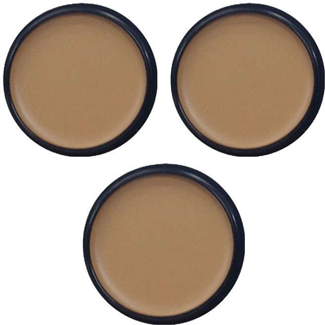 애리조 카마플레이지 크림 13g, No2 크림베이지, 3개