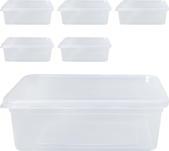 Axis 艾克思 便利輕巧食物分裝塑膠盒 糕點盒 台灣製 700ml, Clear, 6個