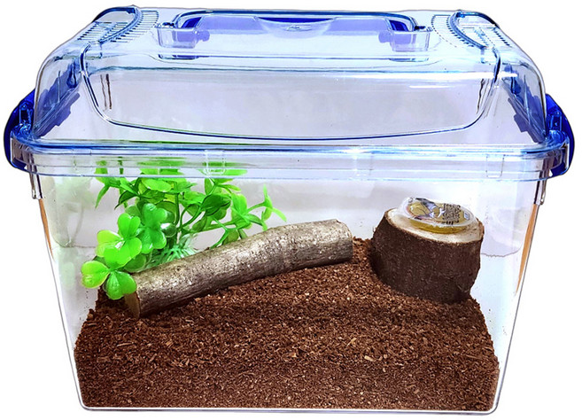 사필풍 장수풍뎅이 사슴벌레 관찰용 클린 사육세트, 혼합색상, 1세트