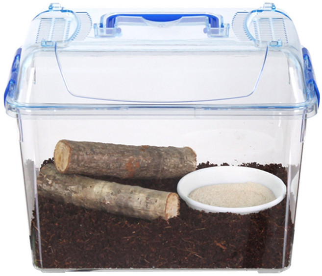 사필풍 달팽이사육 클린 대형 실속 세트, 혼합색상, 1세트