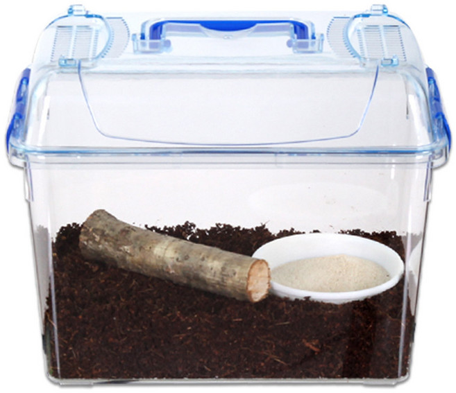 사필풍 달팽이 클린 초급자 실속 세트, 랜덤 발송, 1세트