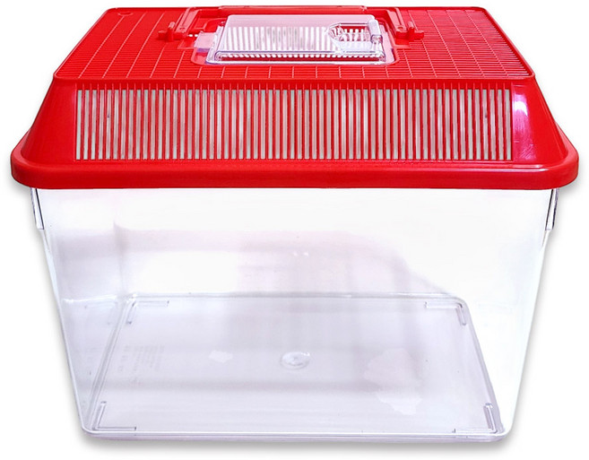 사필풍 사각 대형 채집통, 레드, 1개