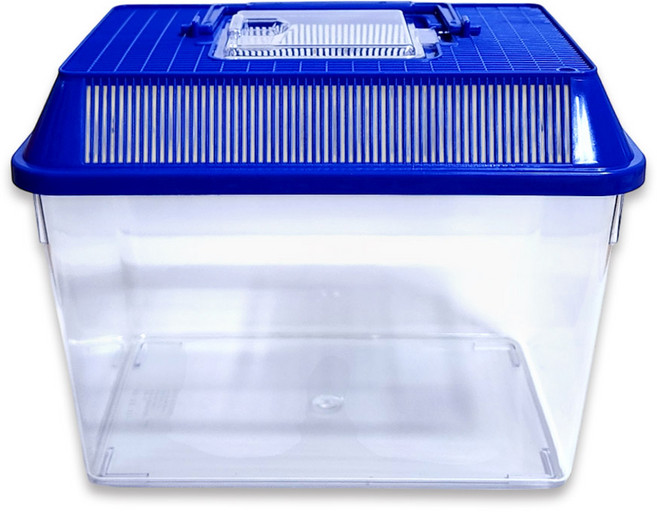 사필풍 사각 대형 채집통, 블루, 1개