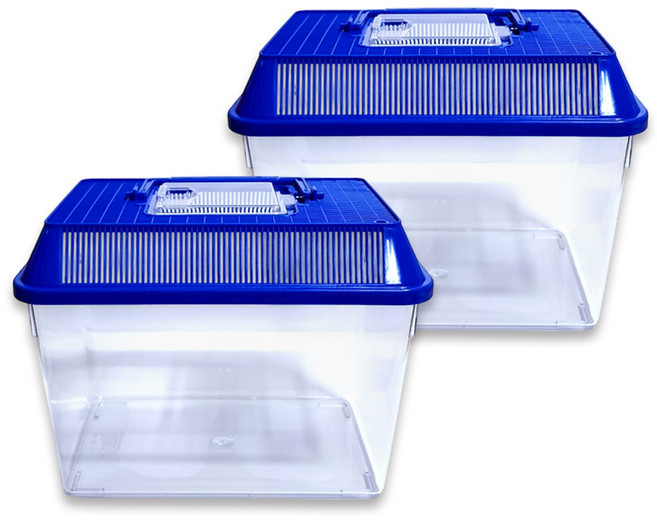사필풍 사각 중형 채집통 중, 블루, 2개