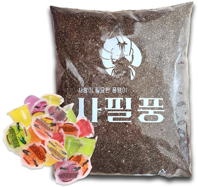 사필풍 사슴벌레 실속팩 세트, 혼합색상, 1세트