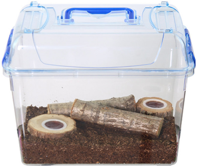 사필풍 사슴벌레 클린 대형 실속 세트, 1개