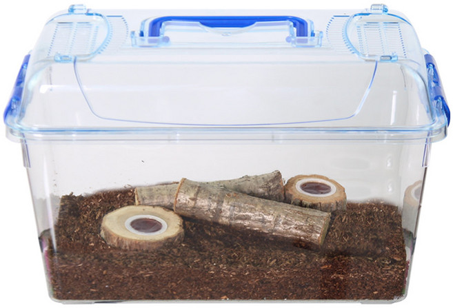 사필풍 사슴벌레 클린 특대형 실속 세트, 혼합색상, 1세트