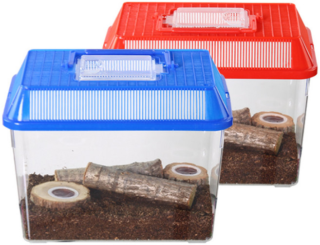 사필풍 장수풍뎅이 사각 대형 실속 세트, 랜덤 발송, 1개