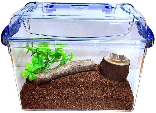 사필풍 장수풍뎅이 클린 초급자 세트, 혼합색상, 1세트