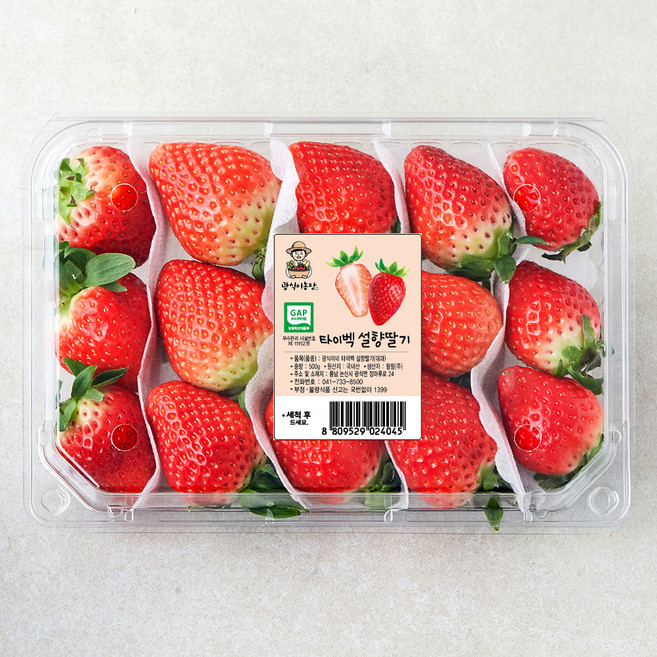 광식이농장 GAP 타이벡 설향딸기 대과, 500g, 1팩