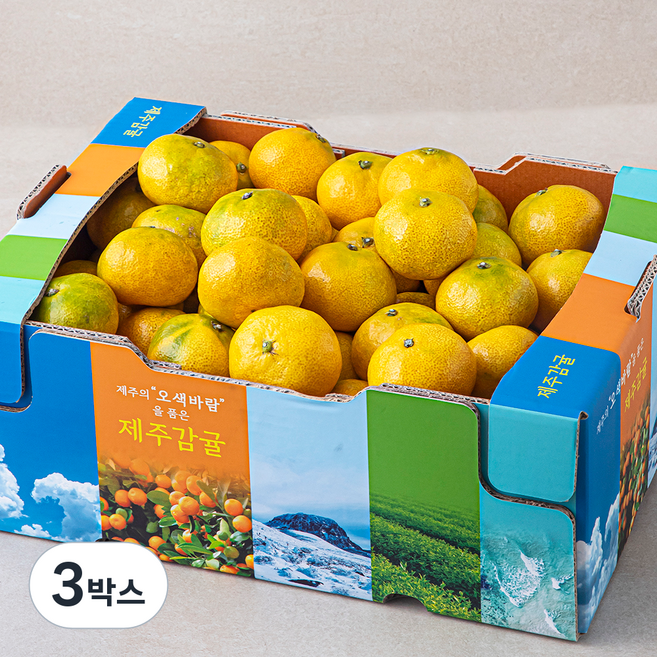 오색바람 감귤 랜덤과, 5kg, 3박스
