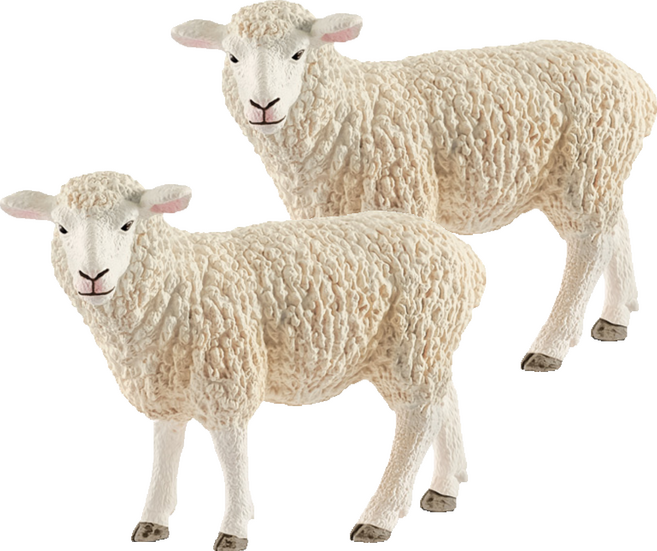 슐라이히 양 피규어 SL13882, 2개