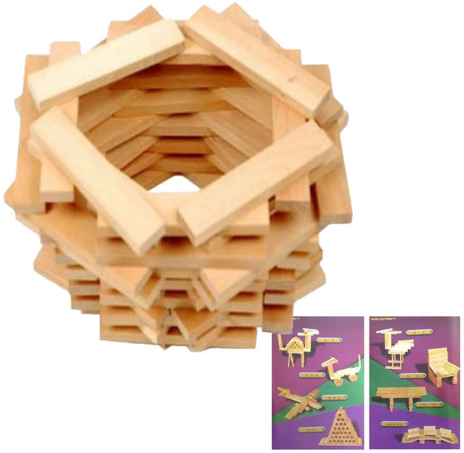 건축블록 - 큰솔원목카프라 500피스+에제집