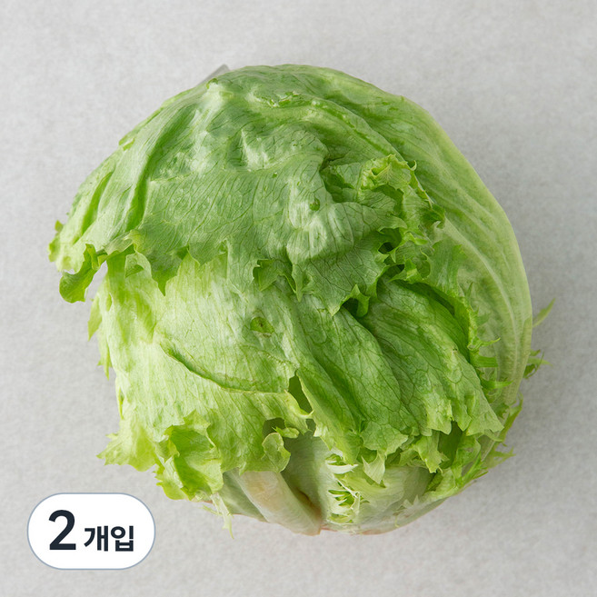 유기농 양상추, 230g, 1개입, 2개