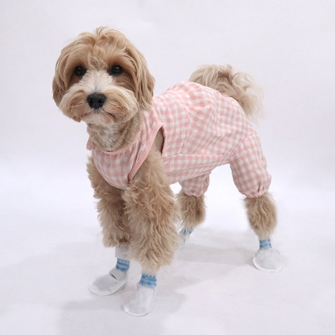 딩동펫 라운드 일회용 강아지 신발 60p + 테이프 2p, 랜덤발송(테이프), 1세트