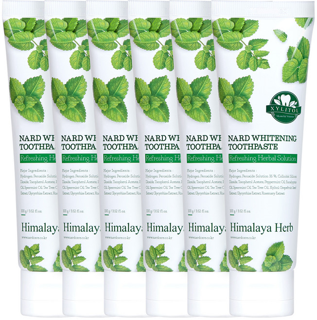 나드 미백 치약, 100g, 6개