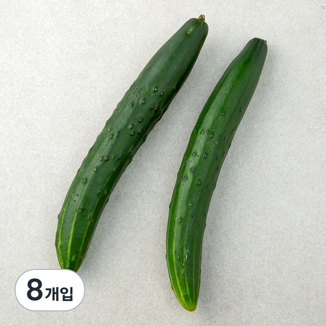 취청오이, 2개입, 4개