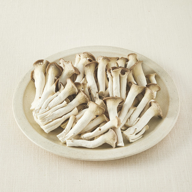 국내산 친환경 고기느타리버섯, 300g, 1개