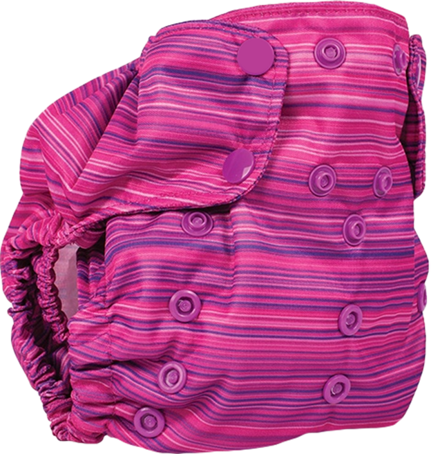 smart bottoms Diaper 2.0 布尿布 新生兒款 2.7 - 7.3 kg 100% PUL防水聚酯外層, Highland 粉紫色, 1件