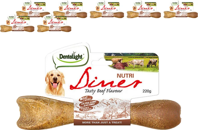 덴탈라이트 뉴트리다이너 덴탈껌 L, 소고기맛, 220g, 8개 - 쿠팡