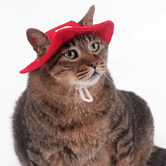 파스텔펫 반려동물 비컬러 코튼 버킷햇, 레드, 1개