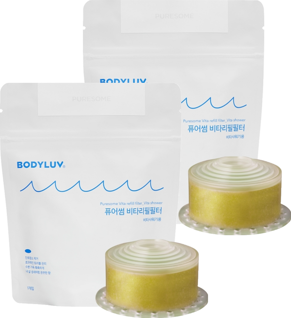 퓨어썸 비타필터, 2개, 민티시트러스향