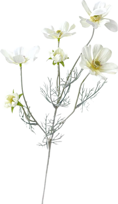 WEIXUN 薇蕁 波斯格桑菊仿真花, 白色, 6件