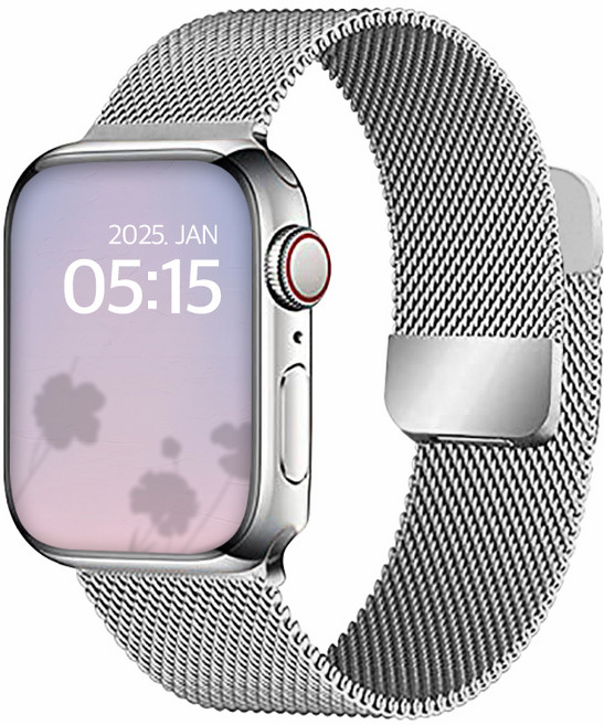 디지지 애플워치 호환 밀레니즈 마그네틱 스트랩, 실버, 1개