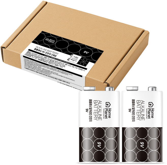 홈플래닛 알카라인 건전지 9V, 2개, 1개입