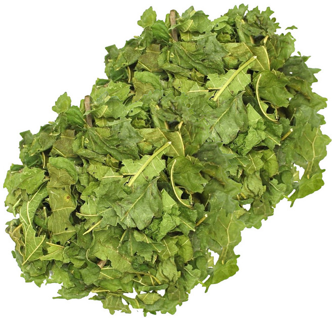 푸드씨 국내산 뽕잎 상엽, 400g, 2개