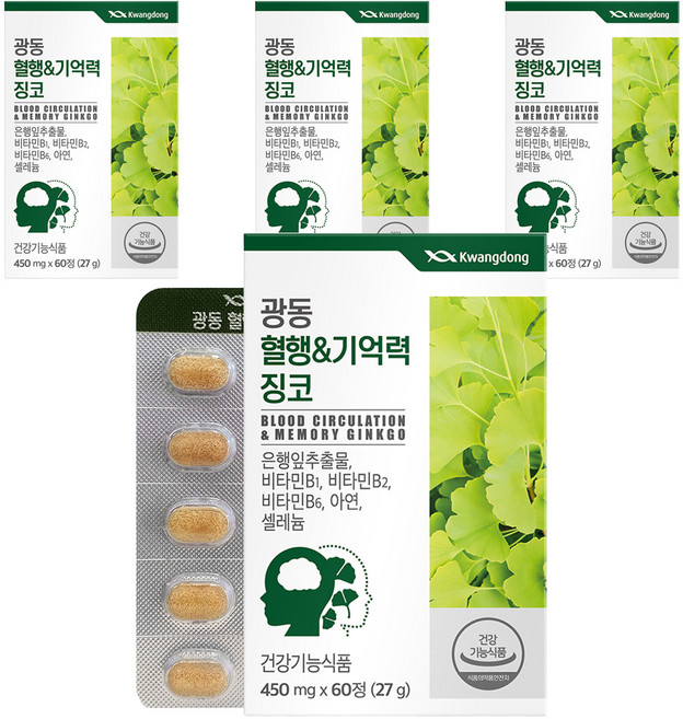 광동 혈행&기억력 징코, 60정, 4개