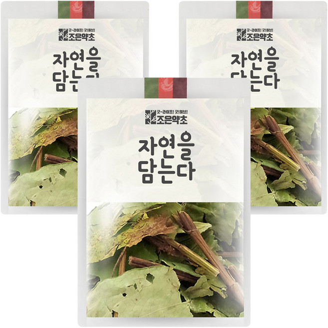 조은약초 삼백초 잎, 100g, 3개