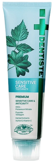 덴티스테 뉴 센서티브 케어 치약, 100g, 1개 - 쿠팡