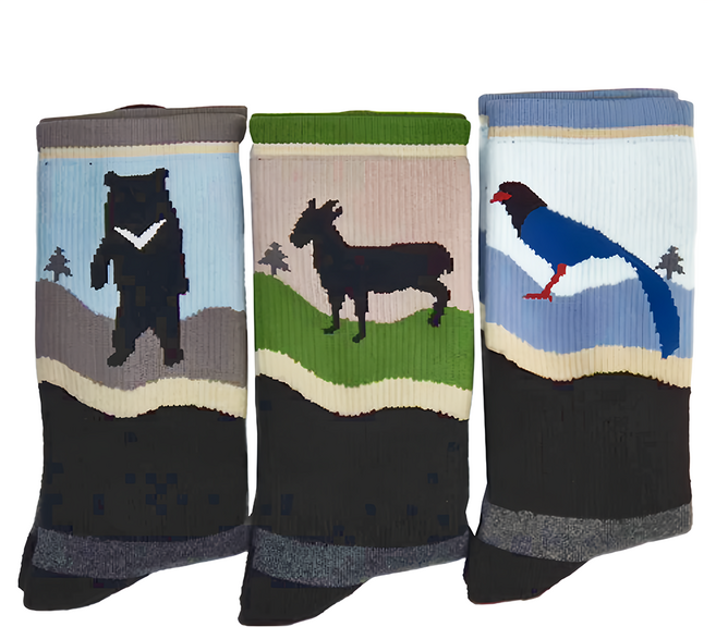 woawoa 台灣特有種速乾羊毛襪-3入組 吸濕排汗 加厚耐磨