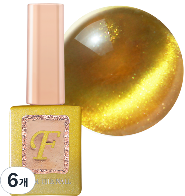 프롬더네일 MAGNET 젤네일, FG196, 10g, 6개