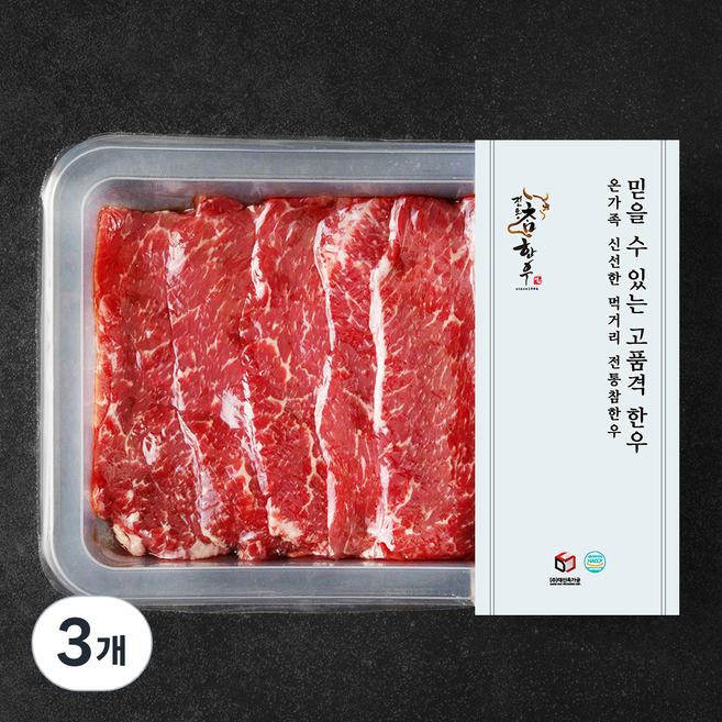 전통참한우 1등급 육전용 (냉장), 300g, 3개
