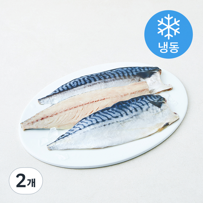 바다찬찬 노르웨이 통통 고등어살 (냉동), 800g, 2개
