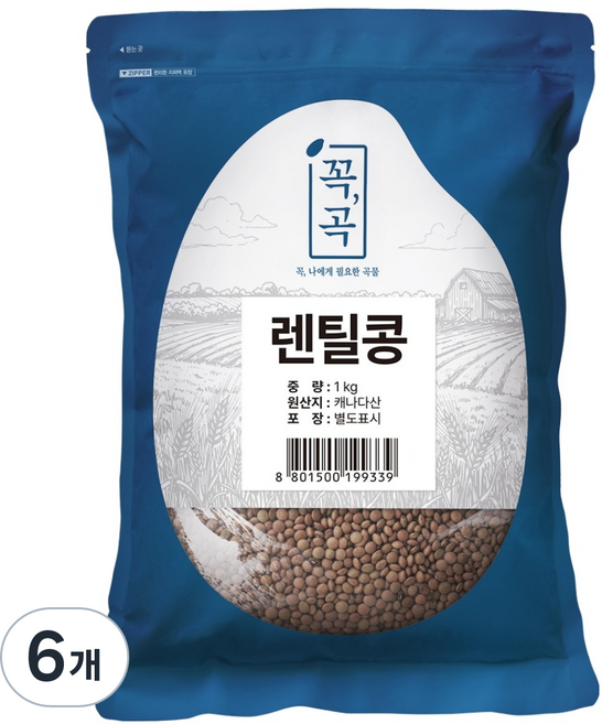 두보식품 렌틸콩, 1kg, 6개