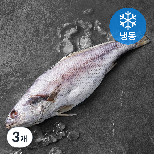 한올레 제주 통민어 (냉동), 500g(특대), 3개