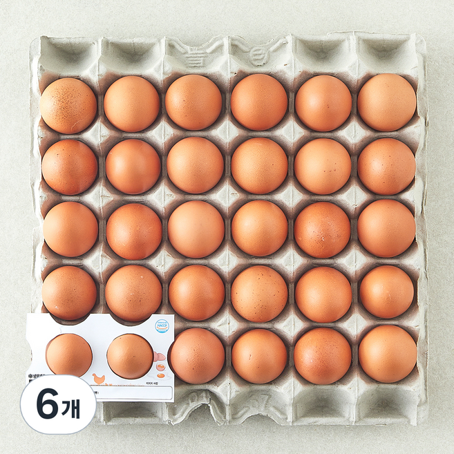 무항생제 신선 대란 1.56kg, 30구, 6개